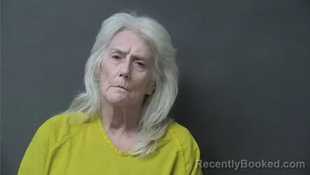 Mugshot of SANDRA LOUISE JOHNSON booked in Howard County, Indiana on July 1, 2026
