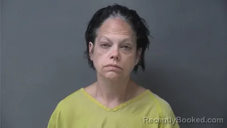 Mugshot of MICHELLE ANN MINOR booked in Howard County, Indiana on July 6, 2026