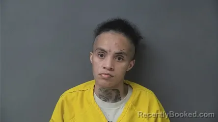 Mugshot of CAITLYN NICOLE SALAM booked in Howard County, Indiana on July 7, 2026