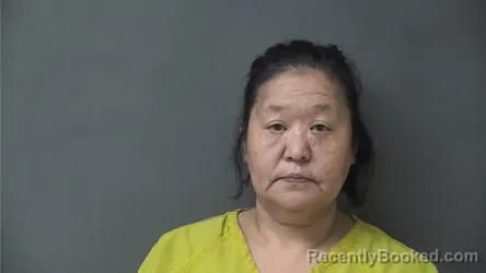 Mugshot of Debra Lynn Turner booked in Howard County, Indiana on August 11, 2026