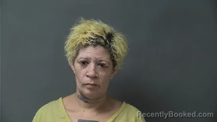Mugshot of Davina Ruth Wood booked in Howard County, Indiana on August 12, 2026