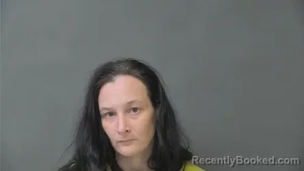 Mugshot of Ashley Nichole Young booked in Howard County, Indiana on August 21, 2026