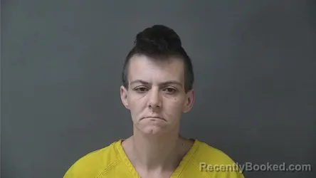 Mugshot of Michelle Lynn Hornbrook booked in Howard County, Indiana on September 5, 2026