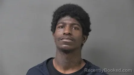 Mugshot of Elijah William Davis booked in Howard County, Indiana on October 3, 2026