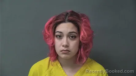 Mugshot of Lorena Dejesus Alvarez-Gomez booked in Howard County, Indiana on October 11, 2026
