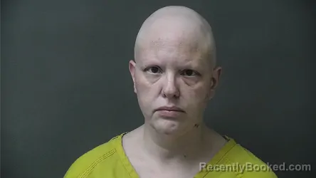 Mugshot of Ashlee Michelle Sprinkle-Hernly booked in Howard County, Indiana on October 12, 2026