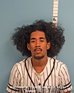 Mugshot of DAKOTA VIJAY CHAPIN