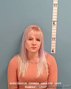 Mugshot of VANESSA IRENE HIDAY
