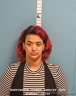 Mugshot of ARIANNA LYNN WILKINS