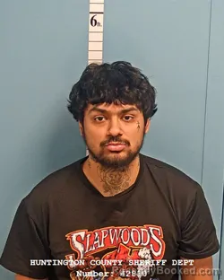 Mugshot of DESMOND ALEXANDER SOSA