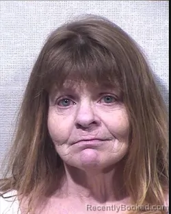 Mugshot of Debra Lynn Updike