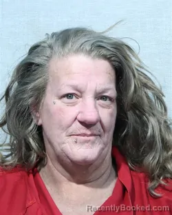 Mugshot of MELODY ANN PERRY