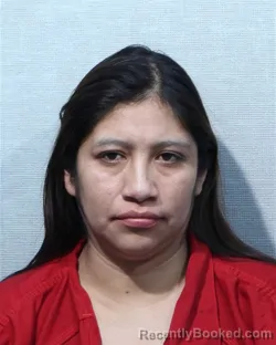 Mugshot of FABIANA FRANCISCO-HERNANDEZ