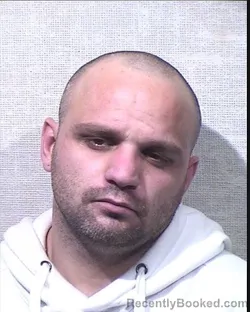 Mugshot of ANDRE JADE BLEVANS booked in Jackson County, Indiana on April 3, 2026