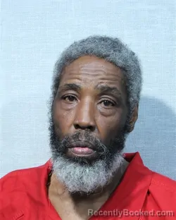 Mugshot of BOBBY JOE MCGINNIS