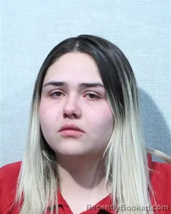 Mugshot of HEATHER RAE WILSON