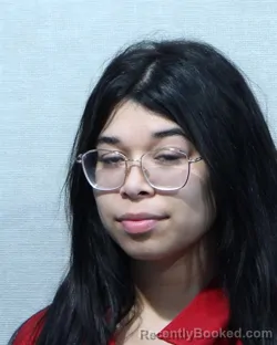 Mugshot of MARIANA MONTES-ALEMAN