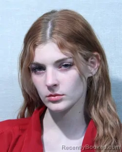 Mugshot of JAZLIN MAY FOSTER