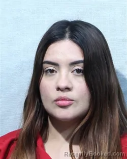 Mugshot of Viviana Acuna-Herrera