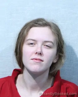 Mugshot of TAMARA NICOLE HANSON