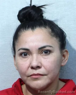 Mugshot of ROSA DILIAN SERANO