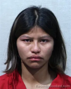 Mugshot of DORI ROSITA VELASQUEZ ESCALANTE