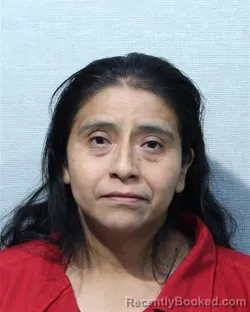 Mugshot of Virginia Bartolome Hernandez booked in Jackson County, Indiana on August 23, 2026