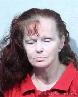 Mugshot of Natalie Brook Hall
