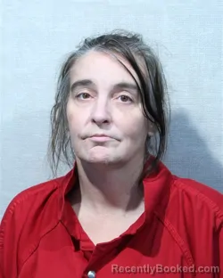 Mugshot of SUSAN ELAINE BROCK