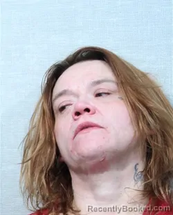 Mugshot of DONNA FAYE BURTON