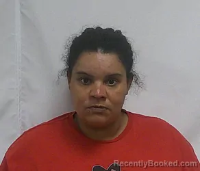 Mugshot of BRITTANY LYNN LOWERY booked in Hoke County, North Carolina on May 14, 2026