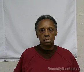 Mugshot of MARY MARCELLA WRIGHT booked in Hoke County, North Carolina on April 11, 2026