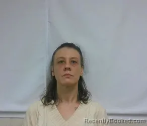 Mugshot of TELISSA MARIE BERGMAN