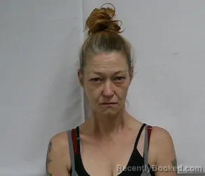 Mugshot of BRANDY NICOLE NEAL booked in Hoke County, North Carolina on June 19, 2026