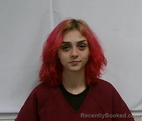 Mugshot of LEXI FAITH SNYDER booked in Hoke County, North Carolina on July 12, 2026