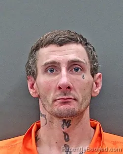 Mugshot of TREY LYLE DANIELS