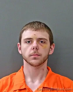 Mugshot of DAMIAN BLAKE HARRELL