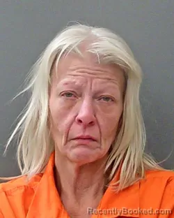 Mugshot of NICOLE MARIE JOHNSON