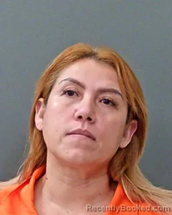 Mugshot of ELSY Y INESTROZA RUIZ booked in Jasper County, Indiana on April 3, 2026