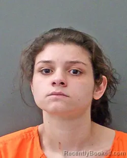 Mugshot of HALEE RENEE COOK