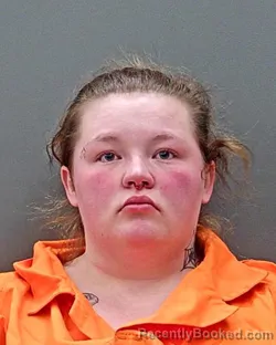 Mugshot of ANGEL MAY MCELROY