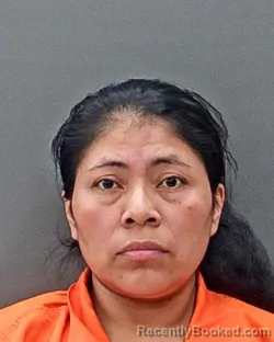 Mugshot of VILMA ISABEL PEREZ RAMIREZ