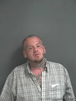 Mugshot of SHANNON M MORGAN booked in Jay County, Indiana on March 31, 2026