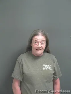Mugshot of THERESA M JORDAN booked in Jay County, Indiana on July 15, 2026
