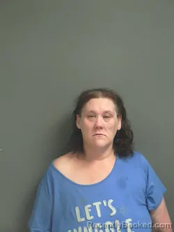 Mugshot of HILLARY ANN LESSING