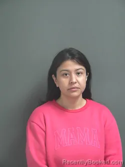 Mugshot of SELENNE DEL CARMEN CASTOR RUIZ