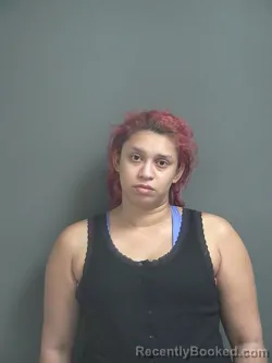 Mugshot of NATASHA MARIE NEWSOME booked in Jay County, Indiana on April 11, 2026