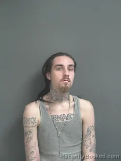 Mugshot of GAIGE LAWRENCE JOHNSON