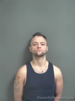 Mugshot of DAVID ALECZANDER-MICHEAL WALDEN