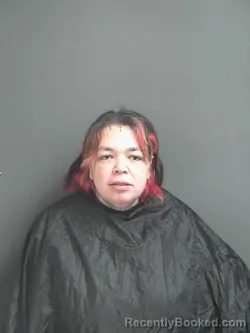 Mugshot of JENNIFER M REVIS